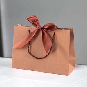 Cardboard Paper Bags Kraft Printing Color Ribbon Handle Bags