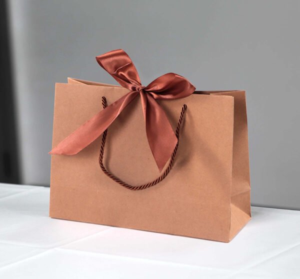 Cardboard Paper Bags Kraft Printing Color Ribbon Handle Bags